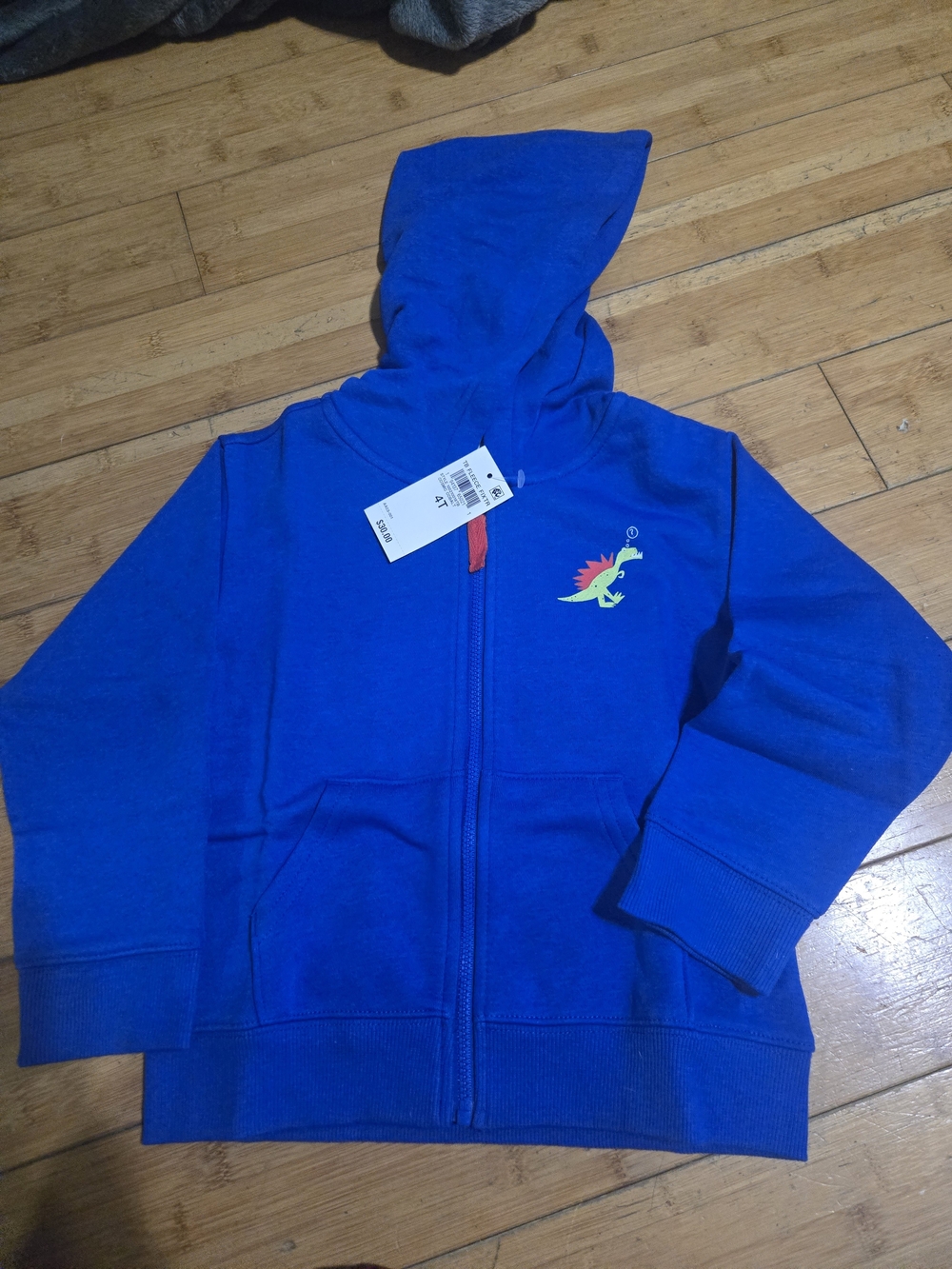 Kids Blue Dino Zip Hoodie